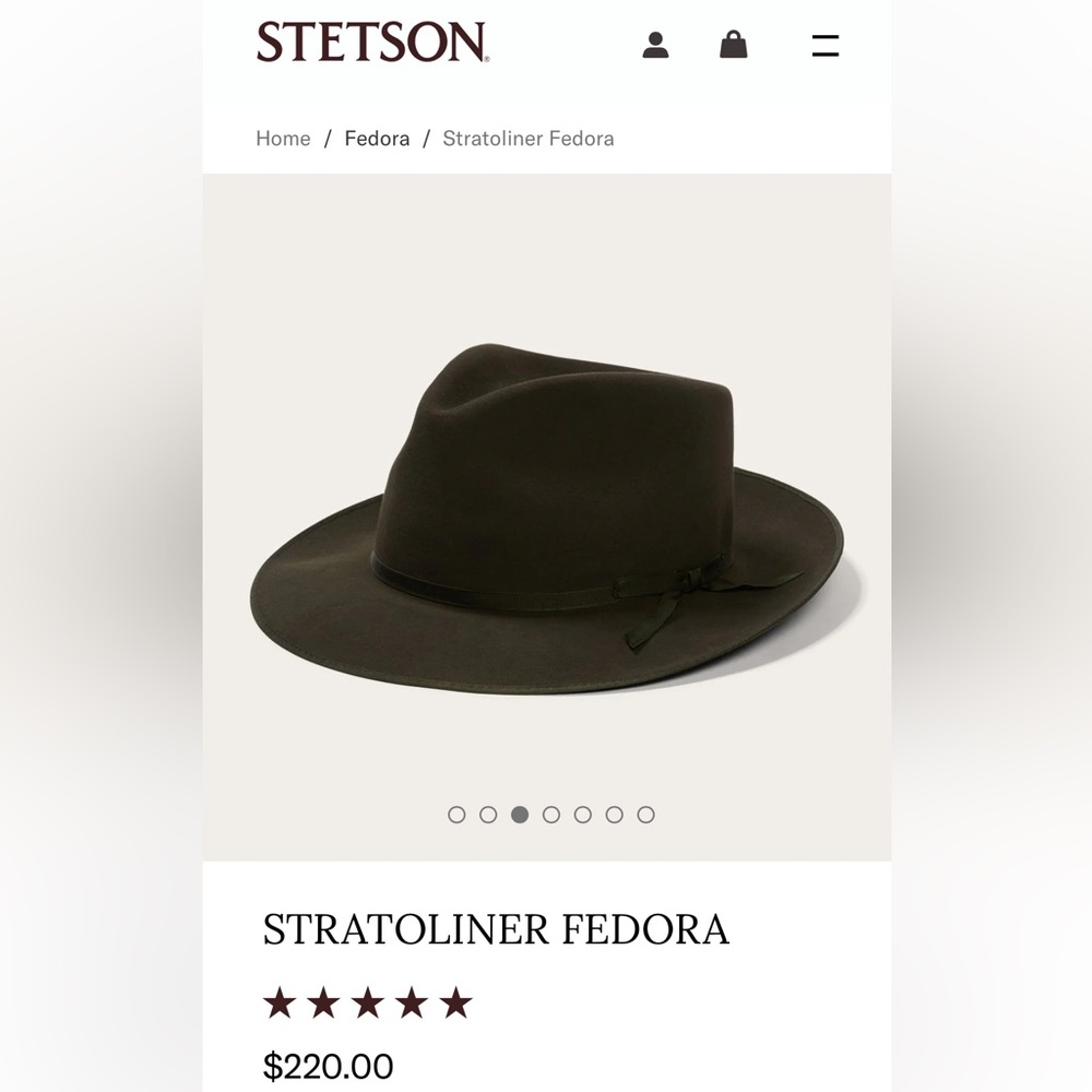 Stetson Stratoliner hat in Sage 7 5/8 NWT